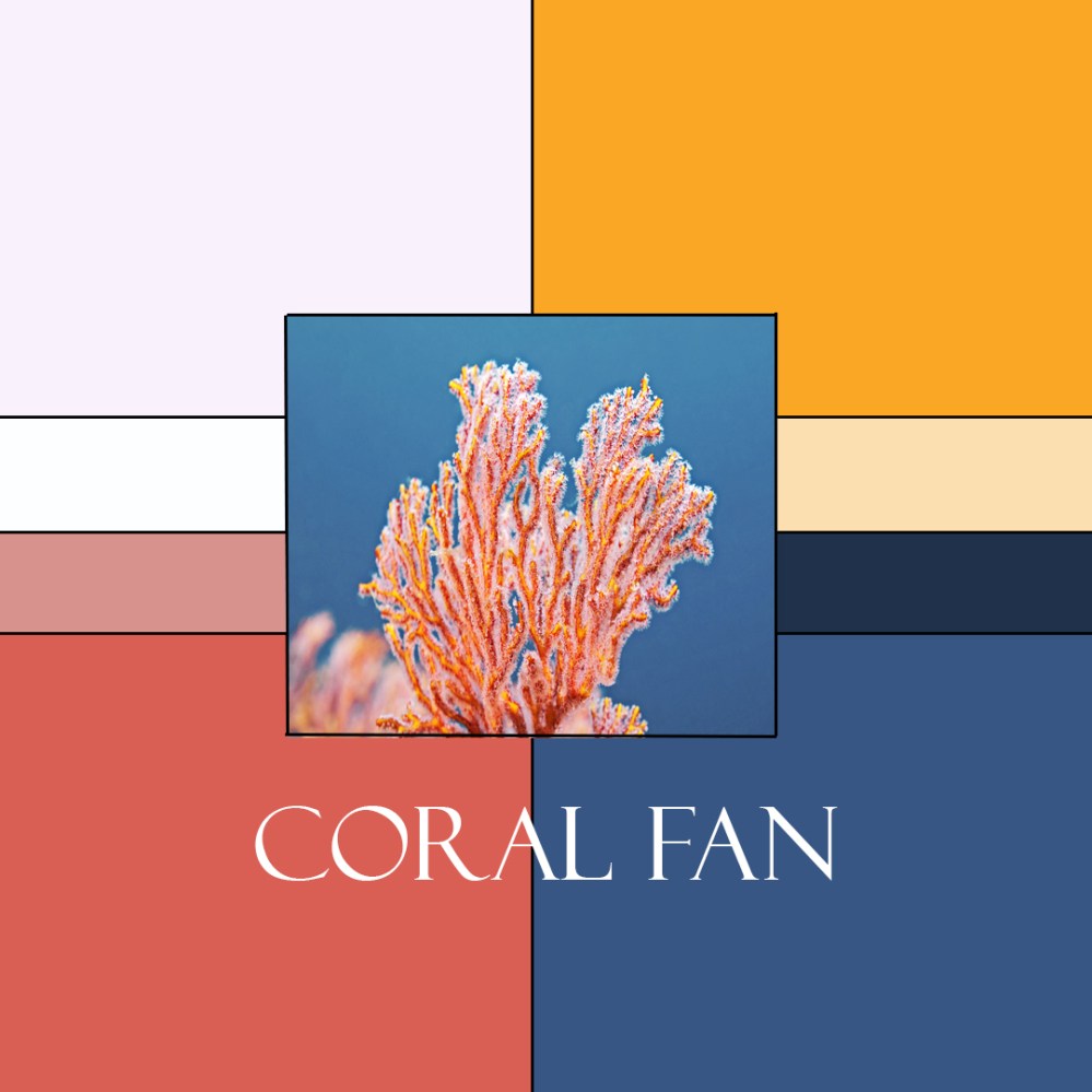 Coral Fan Colorway