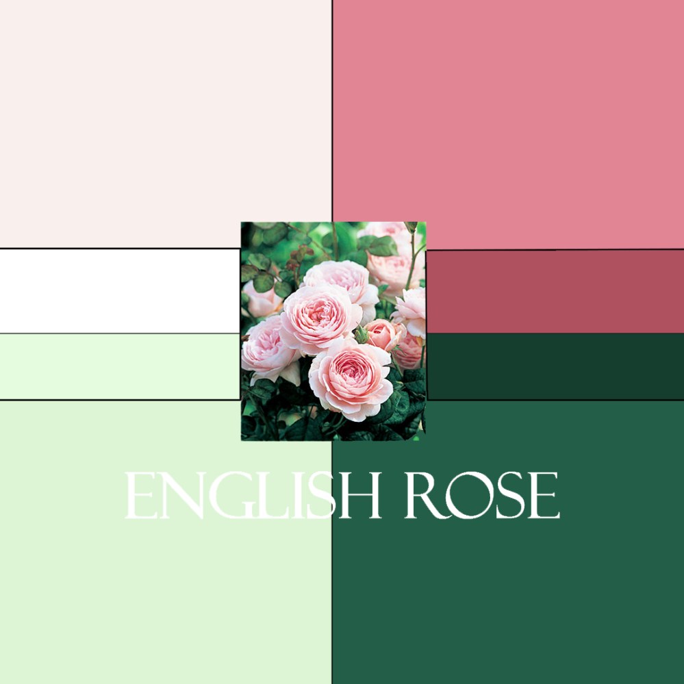 English Rose Colorway