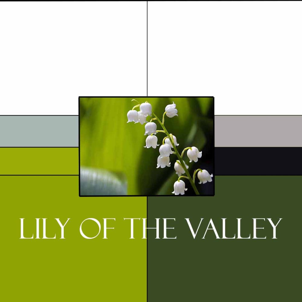 LilyoftheValleyColorway
